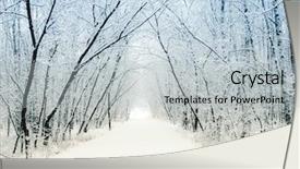  Presentation with winter wonderland - Colorful theme enhanced with winter alley running backdrop and a light gray colored foreground