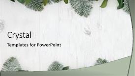  Presentation with winter border - Presentation consisting of winter and christmas abstract background border with robin decoration holly mistletoe snow covered fir and pine cones over white distressed white wood background and a white colored foreground