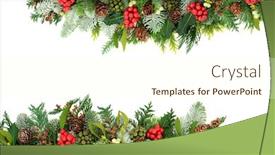  Presentation with winter border - Beautiful slide deck featuring winter and christmas background border with holly snow covered spruce fir mistletoe cedar and ivy leaves with pine cones on white with copy space backdrop and a cream colored foreground