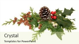  Presentation with flora fauna - Colorful presentation enhanced with winter and christmas flora backdrop and a soft green colored foreground