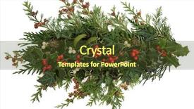  Presentation with flora fauna - PPT theme consisting of winter and christmas flora background and a  colored foreground