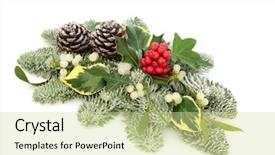  Presentation with christmas holly - Amazing theme having winter and christmas natural table backdrop and a soft green colored foreground