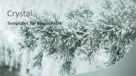  Presentation with snow tree - PPT theme with winter-background-a-coniferous-tree background and a lemonade colored foreground