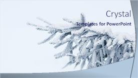  Presentation with snow tree - PPT theme featuring winter background bare fir-tree branches covered in snow against clear blue sky background and a sky blue colored foreground