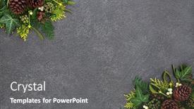  Presentation with winter border - Cool new PPT theme with winter background border with mistletoe ivy cedar leaves and pine cones on grunge grey background with copy space backdrop and a gray colored foreground