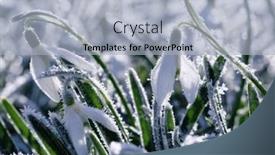  Presentation with sunlight - Presentation theme featuring winter-background-morning-frost background and a light blue colored foreground