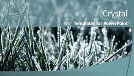  Presentation with sunlight - PPT theme having winter-background-morning-frost background and a seafoam green colored foreground