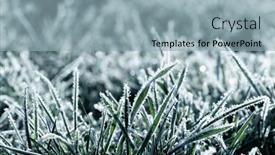  Presentation with sunlight - PPT theme having winter-background-morning-frost background and a light blue colored foreground