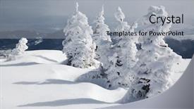  Presentation with winter - Cool new PPT layouts with winter background of snow covered backdrop and a light gray colored foreground