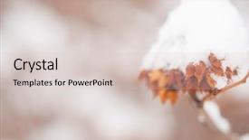  Presentation with winter forest - Cool new presentation theme with winter background snow-covered bushes backdrop and a lemonade colored foreground