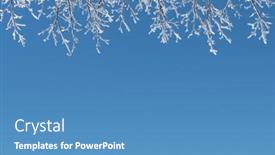  Presentation with winter blue - Presentation design with winter-background-with-branches background and a teal colored foreground