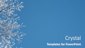  Presentation with winter blue - Presentation theme featuring winter-background-with-branches background and a teal colored foreground
