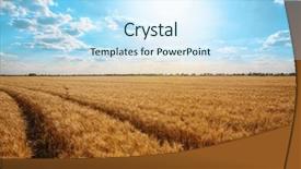  Presentation with beautiful spanish landscape costa blanca - Presentation theme with winter barley - beautiful landscape of wheat field background and a  colored foreground