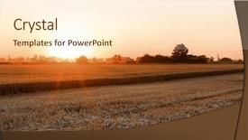  Presentation with wheat - Audience pleasing slides consisting of winter barley - beautiful wheat field at sunset backdrop and a cream colored foreground
