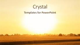  Presentation with wheat - Theme with winter barley - beautiful wheat field at sunset background and a cream colored foreground