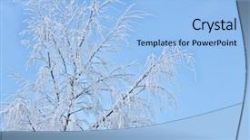  Presentation with winter road and branch - Slide deck with winter birch branches in snow background and a  colored foreground