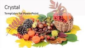  Presentation with still life crucifixion table - Slides featuring winter border - autumn still-life - chestnuts background and a white colored foreground