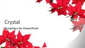  Presentation with winter border - Beautiful presentation theme featuring winter border - christmas background backdrop and a white colored foreground