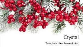  Presentation with christmas red - Presentation theme with winter border - christmas fir frame with red background and a white colored foreground