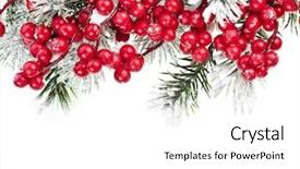  Presentation with christmas red - Theme featuring winter border - christmas fir frame with red background and a white colored foreground