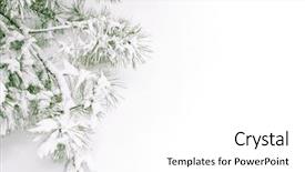  Presentation with winter border - Beautiful PPT theme featuring winter border - snow covered branch backdrop and a white colored foreground