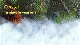  Presentation with boarder - Presentation theme having winter christmas background christmas boarder with fir tree branch with cones on the snow close up with copy space winter holidays concept background and a tawny brown colored foreground