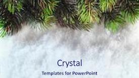  Presentation with boarder - Presentation having winter christmas background christmas boarder with fir tree branch with cones on the snow close up with copy space winter holidays concept background and a sky blue colored foreground