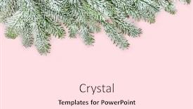  Presentation with christmas border design - PPT theme featuring winter-christmas-new-year-festive background and a  colored foreground