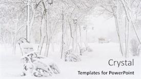  Presentation with park - Presentation theme enhanced with winter-city-park-benches-covered background and a white colored foreground
