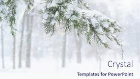  Presentation with blizzard - Slide set featuring winter-city-park-trees background and a sky blue colored foreground