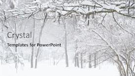  Presentation with blizzard - PPT theme enhanced with winter-city-park-trees background and a light gray colored foreground