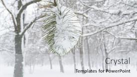  Presentation with blizzard - Presentation theme featuring winter-city-park-trees background and a light gray colored foreground