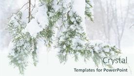  Presentation with blizzard - Slide deck consisting of winter-city-park-trees background and a sky blue colored foreground