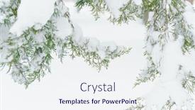  Presentation with trees - Theme featuring winter-city-park-trees background and a sky blue colored foreground