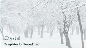  Presentation with blizzard - Amazing presentation having winter-city-park-trees backdrop and a sky blue colored foreground