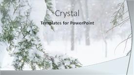  Presentation with blizzard - Presentation design with winter-city-park-trees background and a light gray colored foreground
