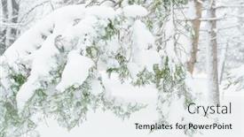  Presentation with blizzard - Audience pleasing PPT theme consisting of winter-city-park-trees backdrop and a sky blue colored foreground