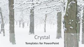  Presentation with blizzard - Slides featuring winter-city-park-trees background and a white colored foreground