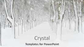  Presentation with blizzard - Amazing presentation having winter-city-park-trees backdrop and a white colored foreground