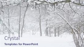  Presentation with blizzard - Slide set consisting of winter-city-park-trees background and a sky blue colored foreground