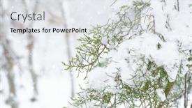  Presentation with blizzard - Slide deck enhanced with winter-city-park-trees background and a white colored foreground