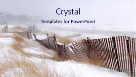  Presentation with three trees story - Slide deck consisting of sea grass - snowstorm on silver beach three background and a sky blue colored foreground