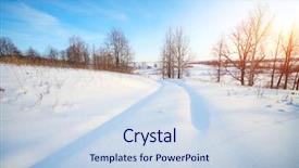  Presentation with trees - Slides featuring winter countryside road and group background and a  colored foreground