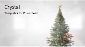  Presentation with christmas borders winter - Slide deck consisting of winter couple with christmas tree background and a white colored foreground