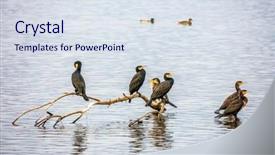  Presentation with galilee - Presentation enhanced with winter dawn in upper galilee background and a  colored foreground