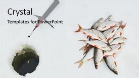  Presentation with winter road and branch - Slides enhanced with winter fishing roach fish catch background and a  colored foreground