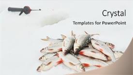  Presentation with winter road and branch - PPT theme enhanced with winter fishing roach fish catch background and a  colored foreground