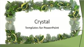  Presentation with flora fauna - Slide deck featuring winter flora background border background and a cream colored foreground