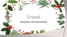  Presentation with festive season - Colorful PPT theme enhanced with winter-flora-fauna-with-loose backdrop and a white colored foreground