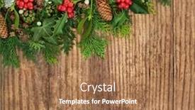  Presentation with wood rustic - Presentation theme featuring winter flora rustic wood background with holly snow covered fir mistletoe pine cones ivy and cedar leaves with copy space traditional natural theme for the christmas festive season background and a coral colored foreground